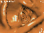 HHU5june_flug