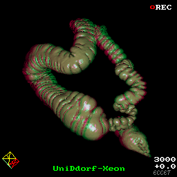 Stereobild Rot/Gr�n